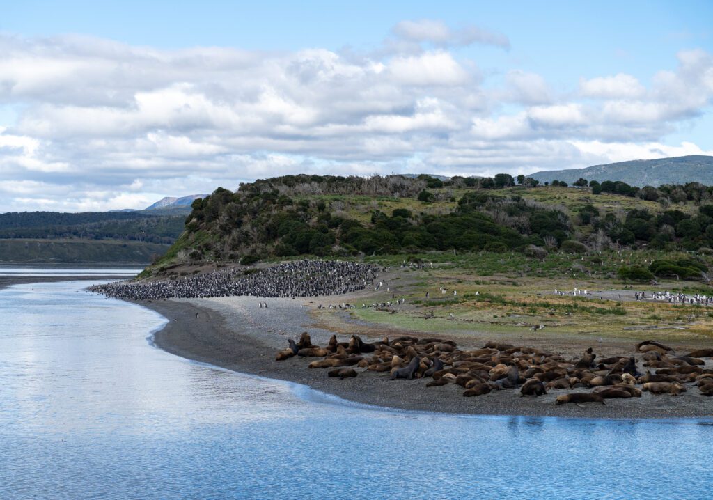Las mejores actividades para hacer en Ushuaia, Ushuaia Tours