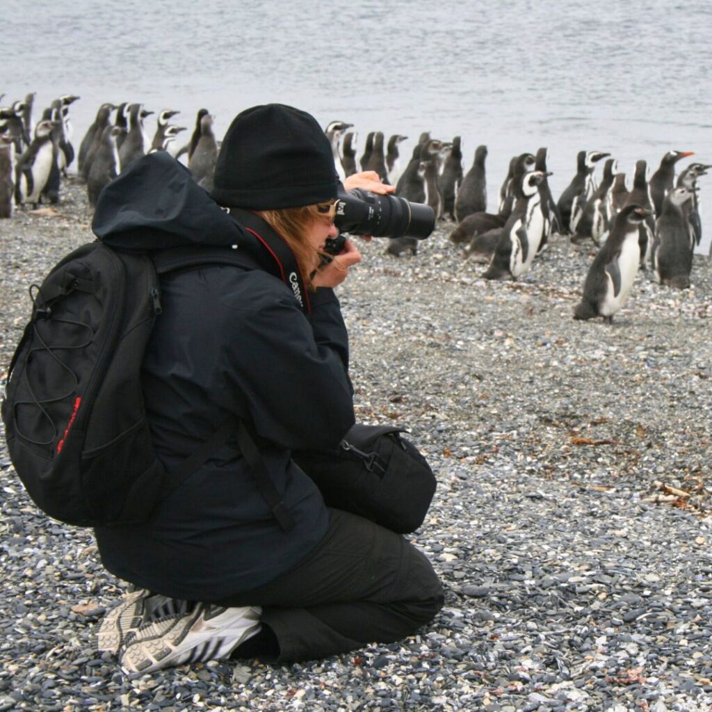 Pingüinera terrestre y Navegación - Foto - Lauke Tours