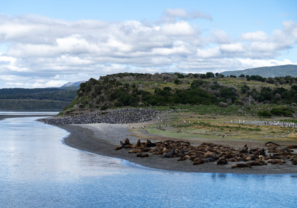 Las mejores actividades para hacer en Ushuaia, Ushuaia Tours