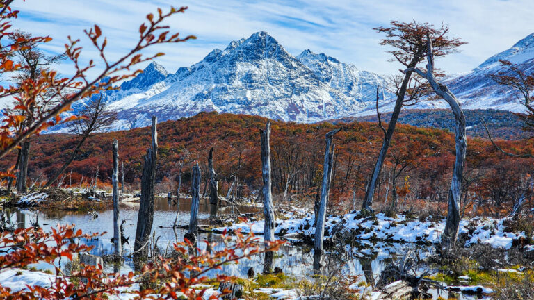 Trekking Laguna Esmeralda - Invierno - Lauke Tours
